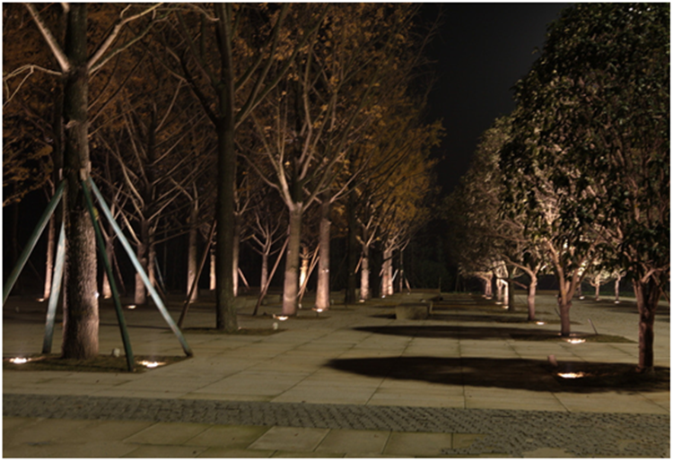 【山东】采购瑞意24W公园LED地埋灯照树灯
